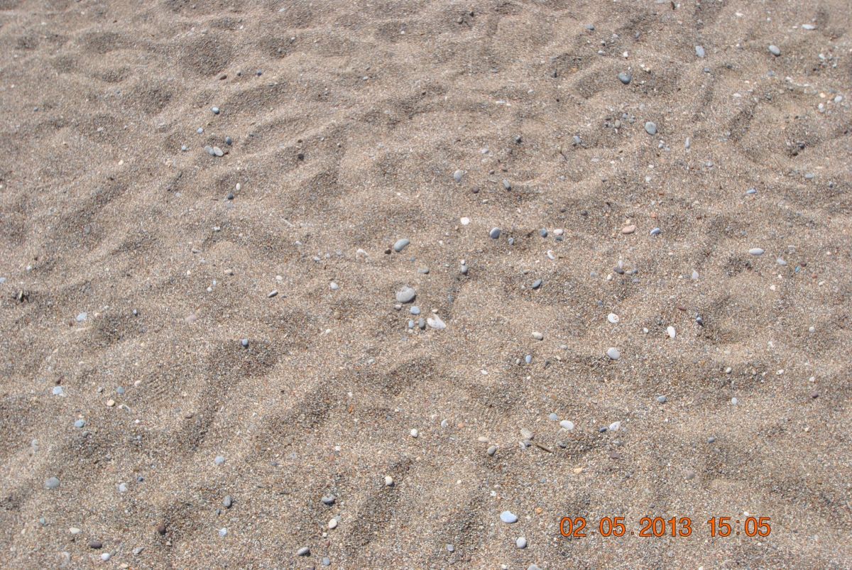 imagini hotel ASTERIA ELITA RESORT SIDE